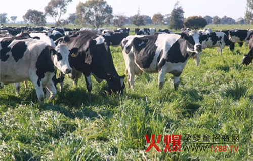 �~����I(y��)�S����Դ�� �o���Ӹ��ཡ��