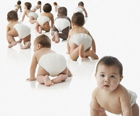 巴巴獅嬰兒紙尿褲