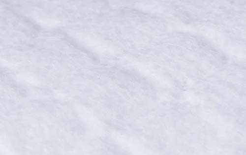 聰麗護理墊10片