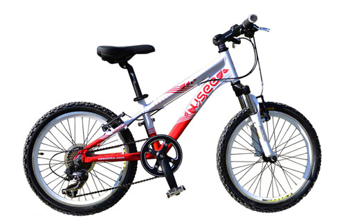 USEE優(yōu)適天使鋁合金20寸兒童自行車(chē)男童款兩色可選