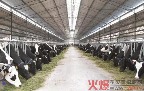 ��V�x������ţ����Ʒ���M�Ј���  �xɽ��(chu��ng)�¸�Ч����ģʽ��(y��ng)���̘I(y��)�³��B(t��i)