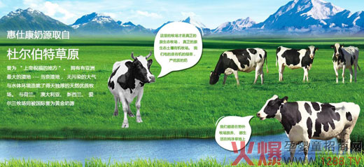 �{�˿��̷�20�갲ȫƷ�|(zh��) �d�u(y��)�ʫI(xi��n)