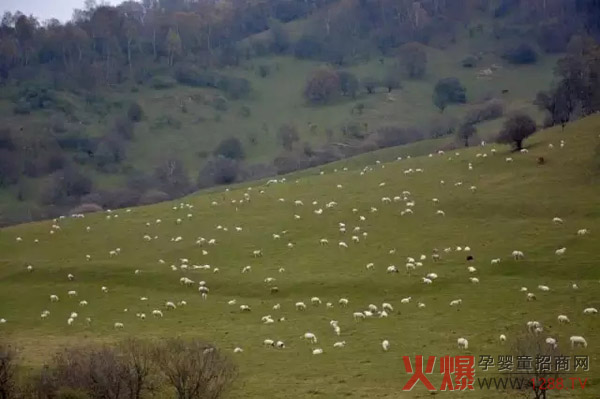 �P(gu��n)ɽ��I(y��)���B(t��i)����(ch��ng) ��(chu��ng)�¹�����ʽ ������H�����B(t��i)����(ch��ng)