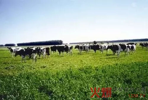 ��(��i)���С���R(sh��)���Կ���(gu��)���J(r��n)�O(ji��n)ί���x���������(gu��)�ЙC(j��)ʳƷ��(bi��o)��(zh��n)��