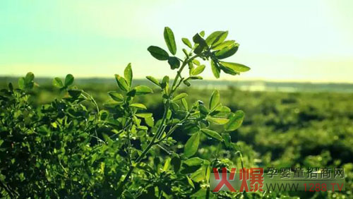 �xɽţ�̟���ӛ�������������� �����֎ײ���