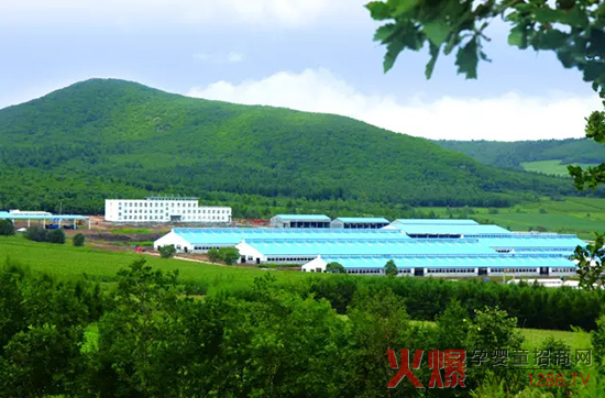 �l(f��)չ��(sh��)�w��(j��ng)��(j��)�����_(d��)ɽ���Є�(d��ng)��