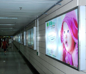 ���O�������L��