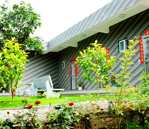 ���������o������չʾ