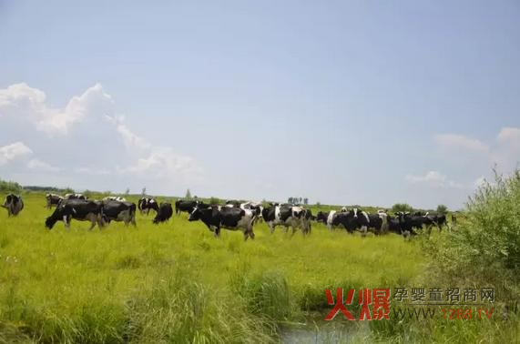 ���_(d��)ɽ�̷۞�Ε�(hu��)�ܵ��@ô���˵�ϲ��(��i)��