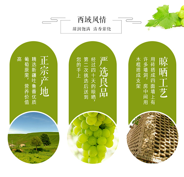 巴瑪熊葡萄干 (7).jpg