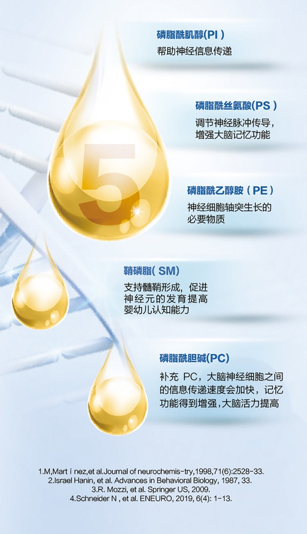   ؐ������Խ�׃��䷽�̷�(12-36���g��3��)4