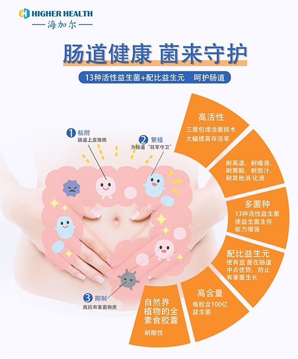 海加爾益生菌復(fù)合粉(13聯(lián)復(fù)合益生菌)海報.jpg