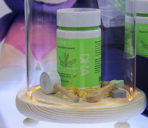  HomePro�������Z���M(j��n)�ڠI�B(y��ng)Ʒ12