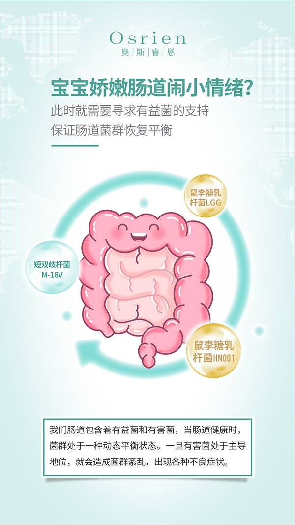 奧斯睿恩復(fù)合型益生菌滴劑小綠瓶詳情_06.jpg