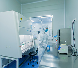  ��������S19