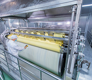  ��������S31