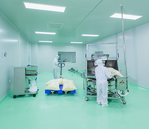  ��������S1