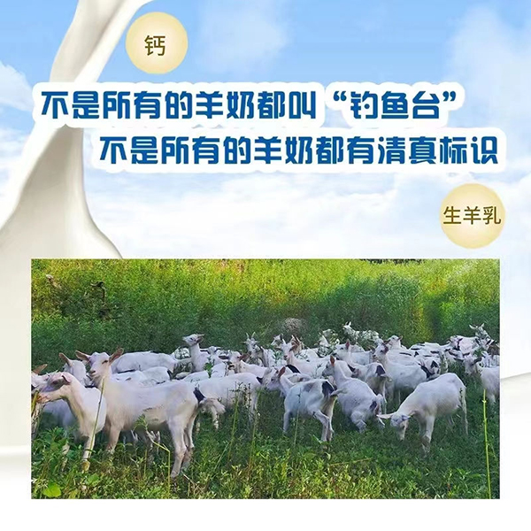 陜西省乳品工業(yè)協(xié)會(huì)副秘書長(zhǎng)張琦為釣魚臺(tái)羊奶點(diǎn)贊4.jpg 陜西省乳品工業(yè)協(xié)會(huì)副秘書長(zhǎng)張琦為釣魚臺(tái)羊奶點(diǎn)贊4.jpg