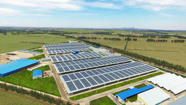 Խ���xɽ�����Ї��r(n��ng)����I(y��)(li��n)�� �˄݆������Ƹ��|(zh��)���l(f��)չ6.jpg