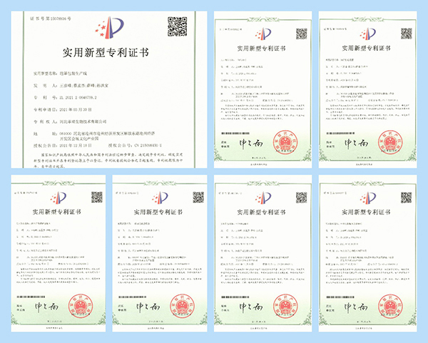 湖北菲瑞生物藥業(yè)有限公司河北分公司專(zhuān)利01.jpg