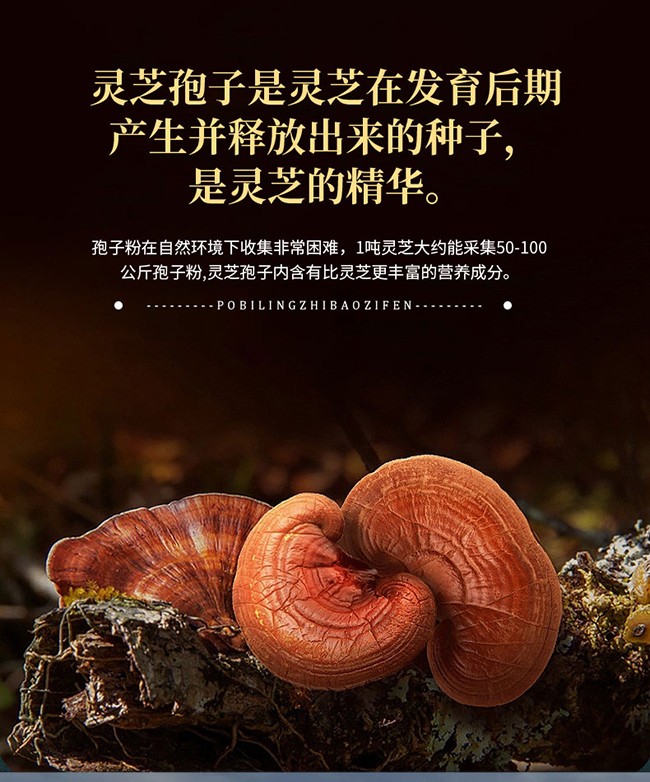 南京同仁堂樂家遐齡牌破壁靈芝孢子粉詳情 (3).jpg