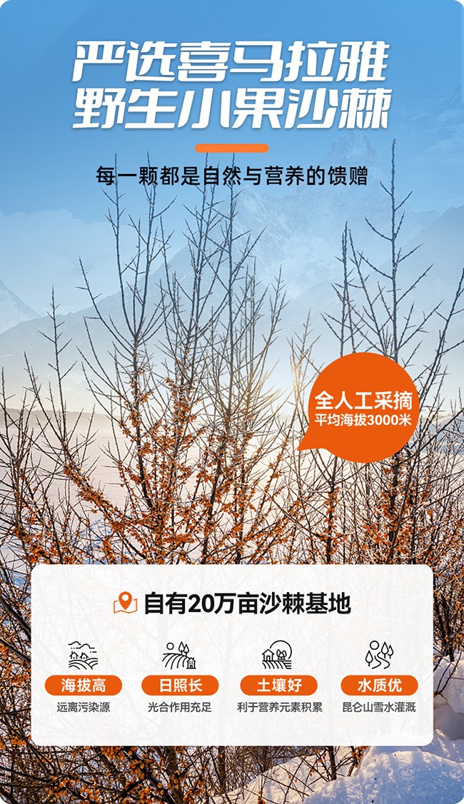 呀啦嗦沙棘果汁飲品248ml詳情 (5).jpg