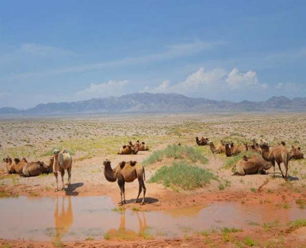 ���ƽz�ĸ�댣�������\�д���������ģʽ���´������o(h��)ȫ�ҽ������\�����ļ�����