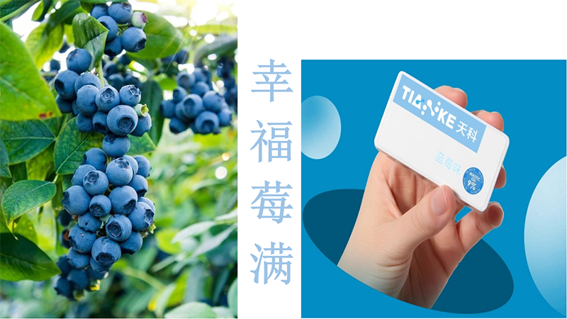 ��Ɵo����ڱ��� �{ݮζ.png