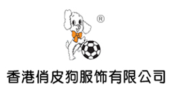 �����Ƥ��������޹�˾