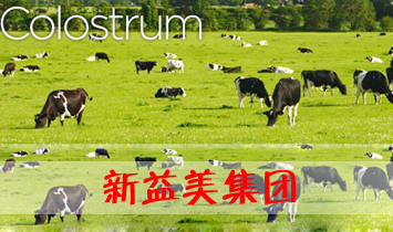 �������I(y��ng)�B(y��ng)Ʒ���޹�˾