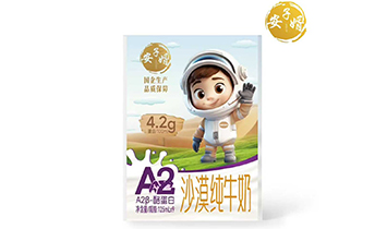 ������ɳĮ���I(y��)����(n��i)�ɹţ����޹�˾