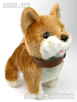 ��֮��С�ݲ�Ȯ