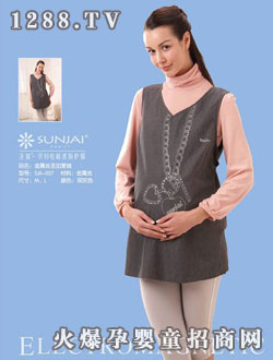 ʥ�ӽ��ٽzʥ�Ӑ�(��i)�