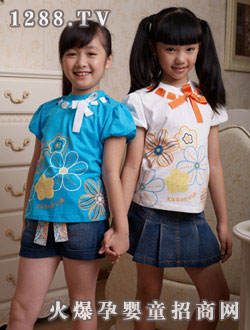 �����(k��)2010���Ŀɐ�(��i)ȹ�b