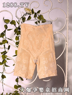 �N�ĿɃ��ЋD��(n��i)��T3016