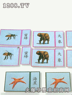 ���τ�(d��ng)�￨Ƭ