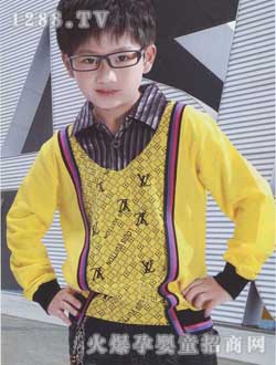 ���������b�Sɫ���b