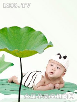 ���L(f��ng)܇(ch��)��������