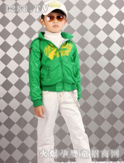 ������Gɫ��������