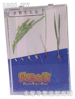 ؐˮ�����Lʷ�̾�