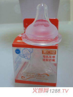 ���������ڏ����z����