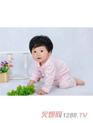 ��ȼ����B����Ԋ����