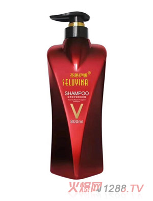 ʥ·�������B(y��ng)���o����ϴ�l(f��)¶