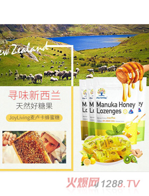 JOY-LIVING�񘷈@���R��������