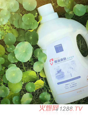 �ɿ���ϴ��Һ