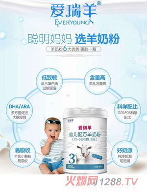 愛瑞羊youe配方羊奶粉（12-36月齡，3段）