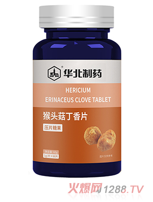 �A����ˎ���^������Ƭ