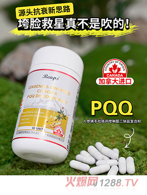 Reaps����˹�˅�������������������c�}��(f��)�Ϸ�