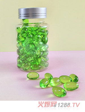 �Z���������z�ǹ�